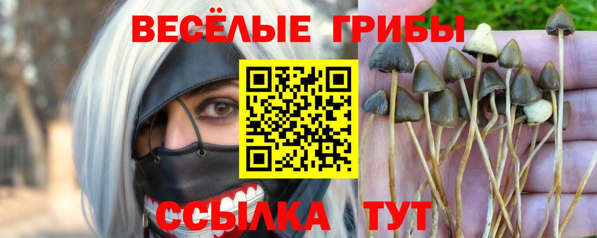 Ливны  Галлюциногенные грибы MAGIC MUSHROOMS  Вход с VPN  Псилоцибиновые грибы MAGIC MUSHROOMS 